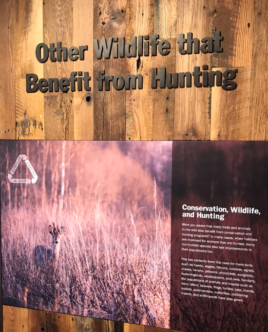 other wildlife that benefit from hunting signage at joe crafton's sportsman complex